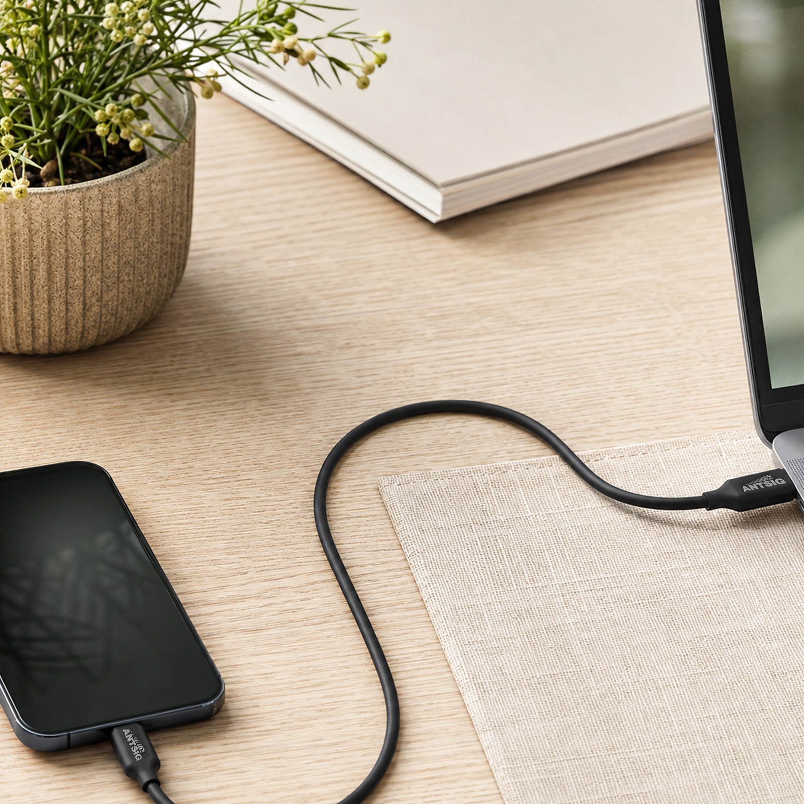 Antsig 1m 100W USB-C to USB-C Cable Twin Pack