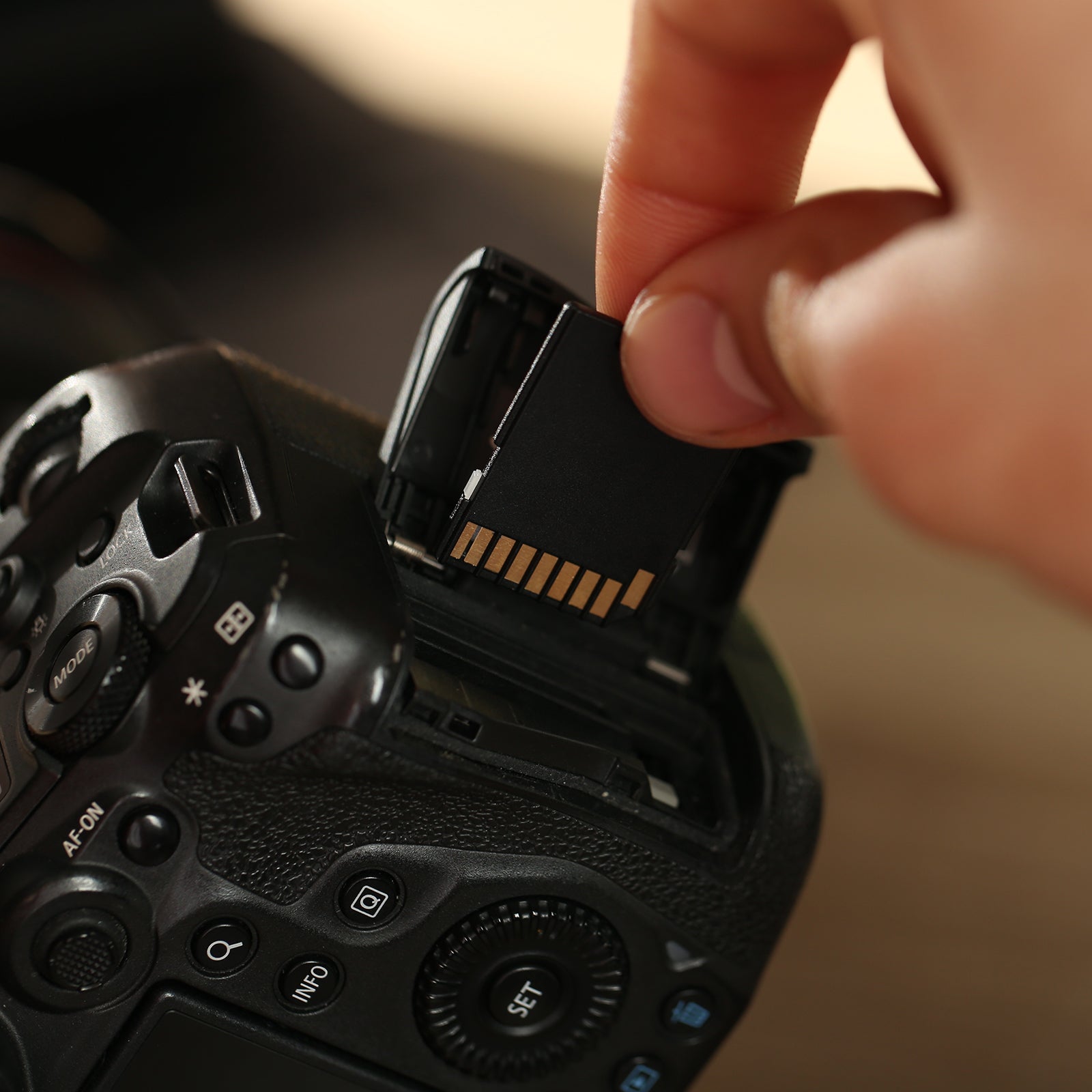 Antsig 256GB Micro-SD Card