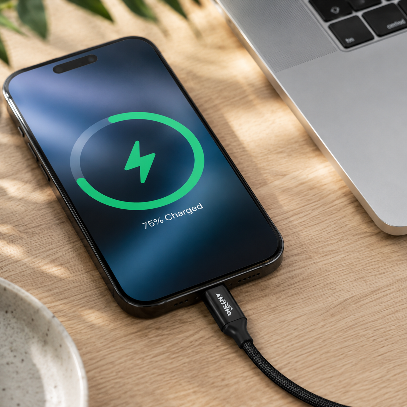 Antsig 1.2m USB-A to USB-C Cable