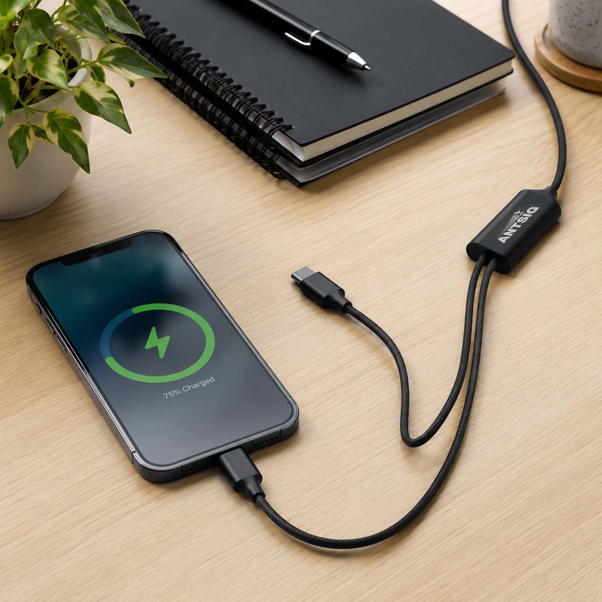 Antsig 1.2m 100W USB-C to Dual USB-C Cable